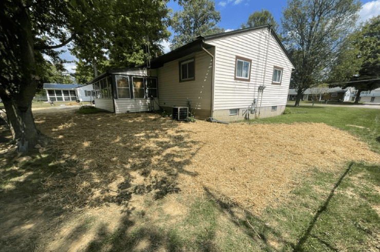 New Look Lawn Care