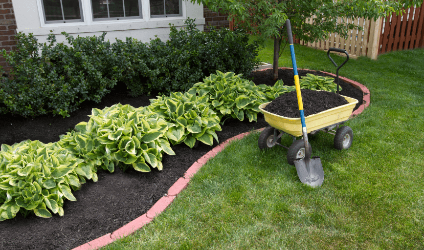 New Look Lawn Care